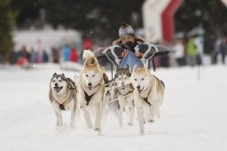 Lenzerheide 2013